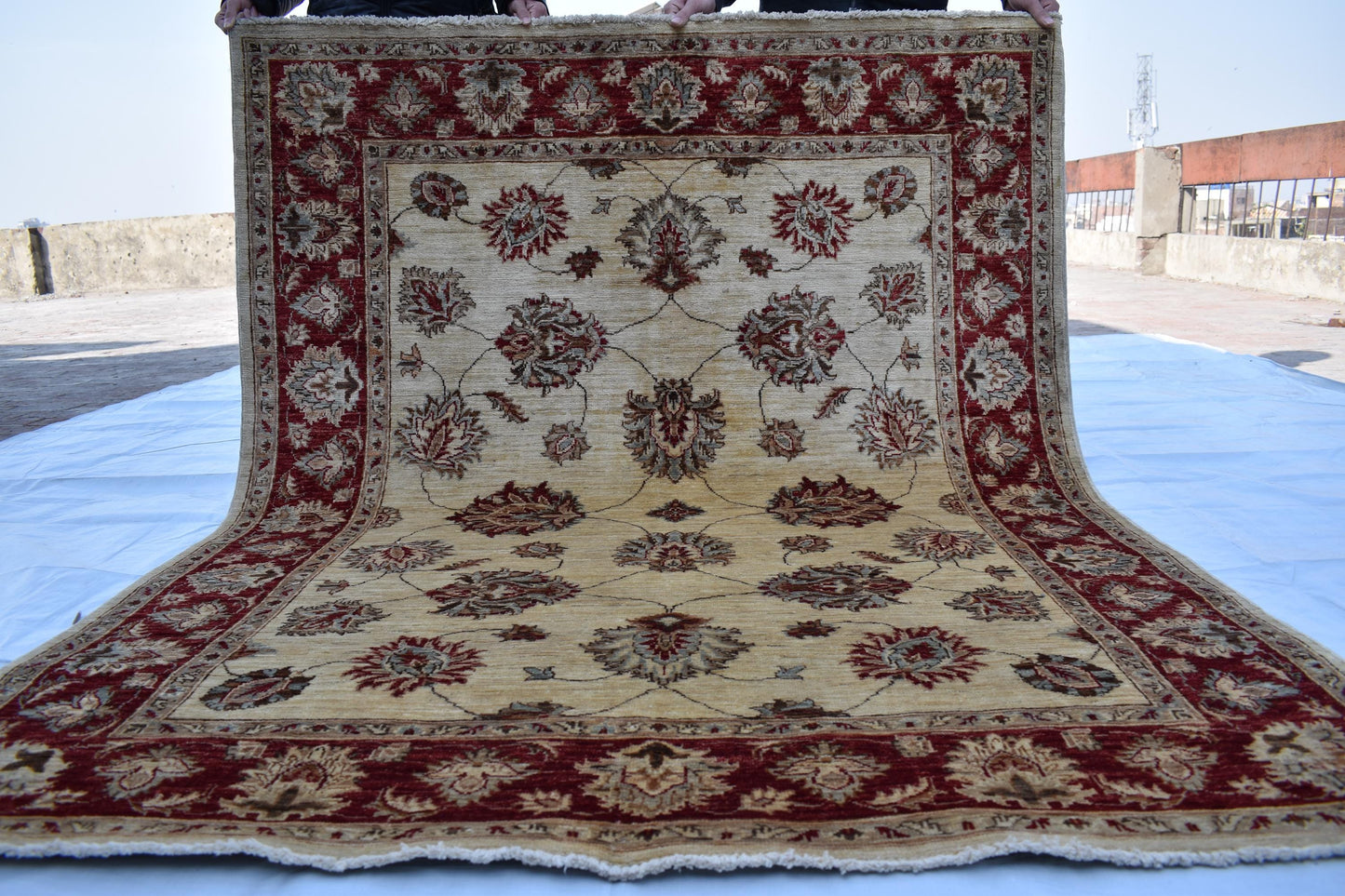 5x7 Zigler Oriental Hand Knotted Wool Rug, Handmade Wool Rug, Turkmen Area Rug, Natural Veg Dye Sheep Wool Rug, Bedroom Rug, Living Room Rug