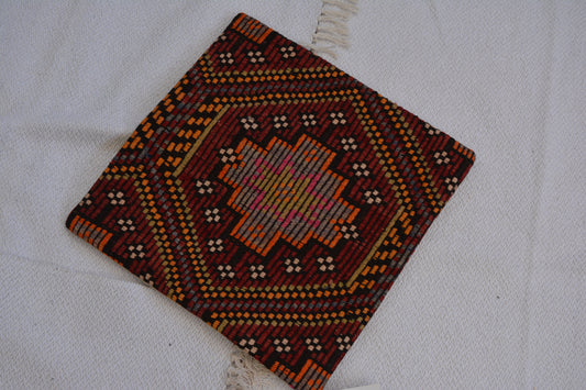 🪄 19.7” x 19.7” Vintage Rug Pillow Cover