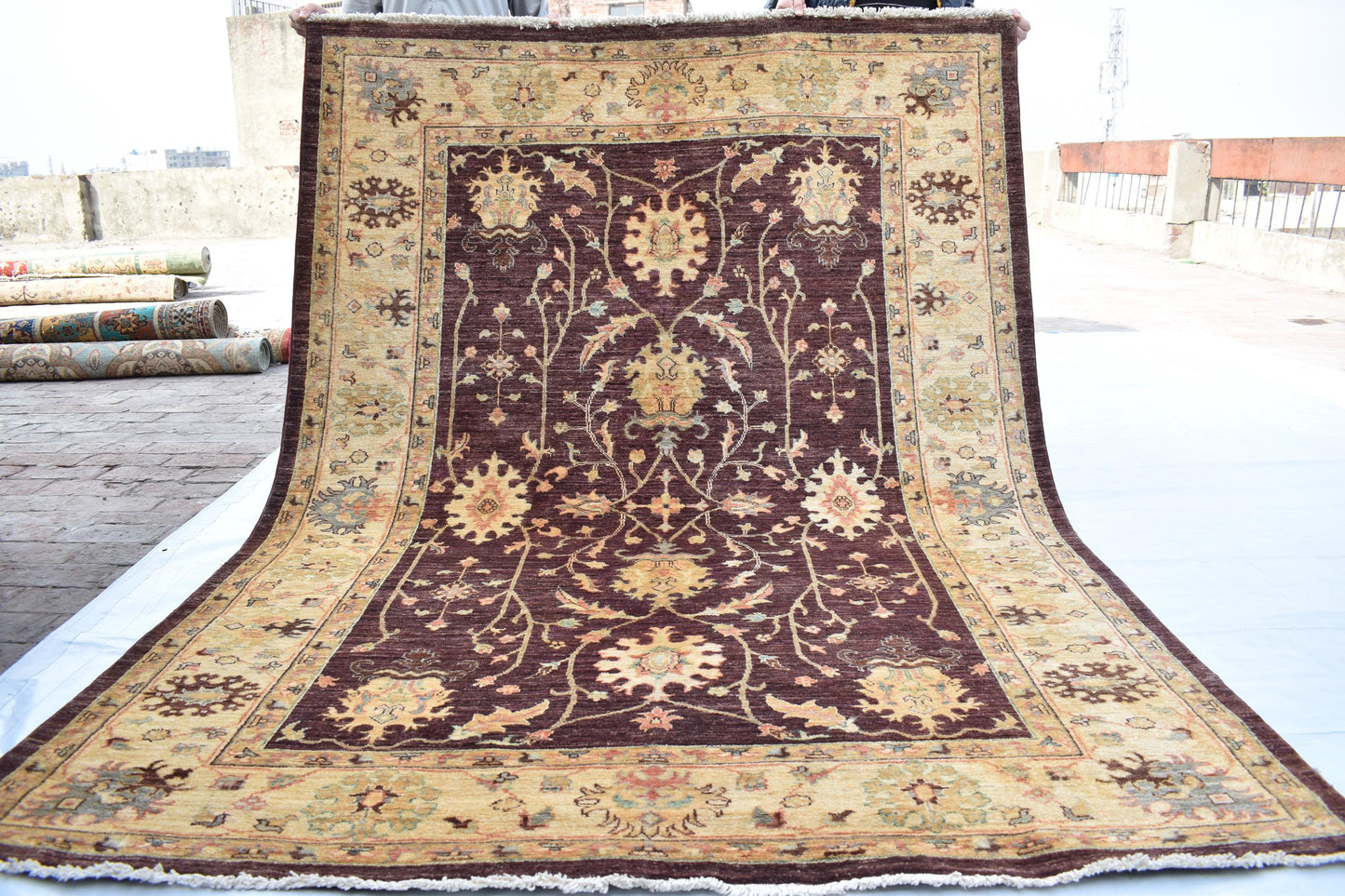 6x8 Brown Zigler Fine Piece, Hand Knotted Wool Rug, Soft Rug, Turkmen Trible Area Rug For Living Room, Dinning Room